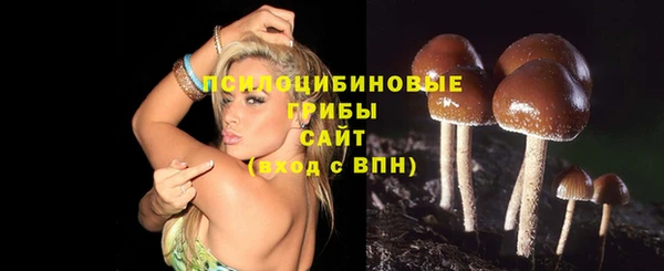 прущий лед Балабаново