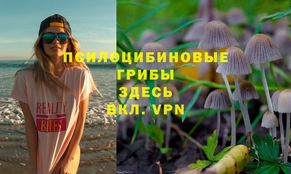 скорость Няндома