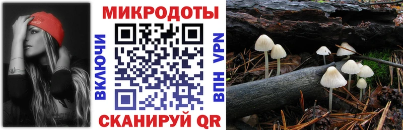 сколько стоит KRAKEN как войти Псилоцибиновые грибы прущие грибы Строитель